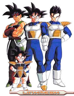 Acerca de la Serie